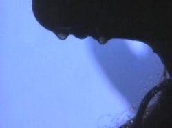 '4 Hrs Curves' screenshot nº 38
