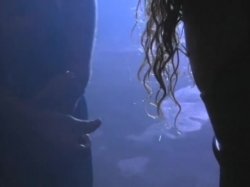 '4 Hrs Curves' screenshot nº 40