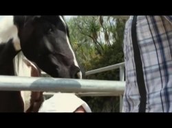'4 Hrs Big Dicks' screenshot nº 66