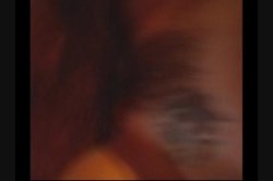 Captura de 'This Ain't Robin Hood: A XXX Parody' nº 97