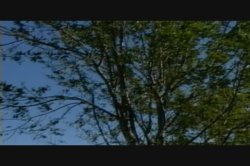 'Good Will Humping' screenshot nº 11