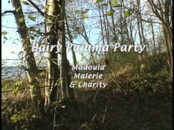 Captura de 'Horny Hairy Girls 9' nº 86