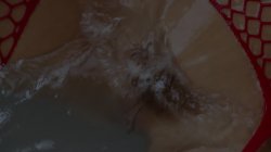 Captura de 'Bush 7' nº 1