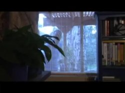Captura de 'Black Snake Boned!' nº 103