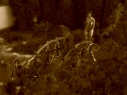 'Sex Ambassador' screenshot nº 51
