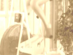 'Sex Ambassador' screenshot nº 107