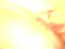 'Sex Ambassador' screenshot nº 121