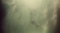 'Grinders' screenshot nº 54