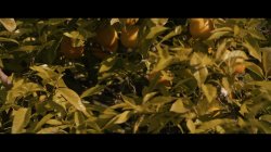Captura de 'Filled With Your Love Vol. 2' nº 36