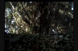 'Transformed' screenshot nº 11