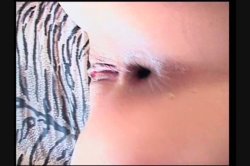 'Bottom Feeders 3' screenshot nº 87