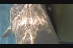 'Romi Rain Is A Goddess' screenshot nº 41