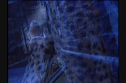 Captura de 'Diva 1: Caught in the Act' nº 33