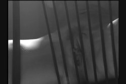Captura de 'Diva 1: Caught in the Act' nº 86
