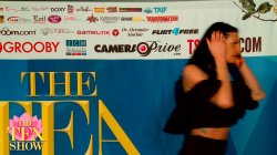 'TEA Show 2017, The' screenshot nº 81