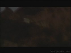 Captura de 'Playgirl' nº 48