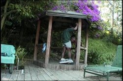 'My Baby Got Back 15' screenshot nº 10