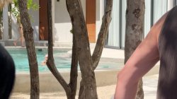 'Voyeur, The' screenshot nº 36