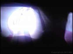 Captura de 'Jerk Off Encouragement: Cock Draining Cuties Vol. 2 - All About Ass' nº 31