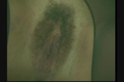 'Latin Fever 13' screenshot nº 7
