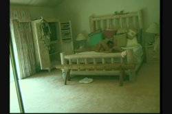 'Latin Fever 13' screenshot nº 140