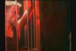 'Vivid Girl Confidential - Taylor Hayes' screenshot nº 114