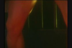 'Vivid Girl Confidential - Taylor Hayes' screenshot nº 121