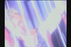 'Vivid Girl Confidential - Taylor Hayes' screenshot nº 129