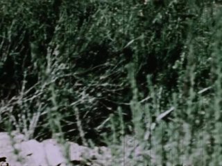 Savages - Scene3 - 1
