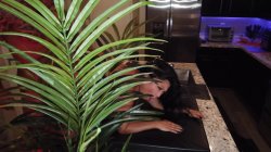 Captura de 'Krystal Davis Kitchen Counter Sex' nº 44