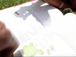 'Nerdy 4 Eyed Freaks' screenshot nº 95