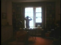 Captura de 'Cecil Howard's Foxtrot (Softcore)' nº 14