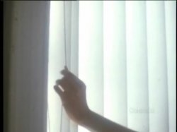 Captura de 'Cecil Howard's Foxtrot (Softcore)' nº 17