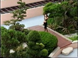 'Lez Connection' screenshot nº 2