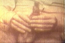'Celebrity Sex' screenshot nº 37