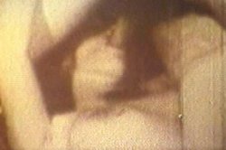 'Celebrity Sex' screenshot nº 51