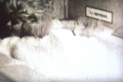 'Celebrity Sex' screenshot nº 62