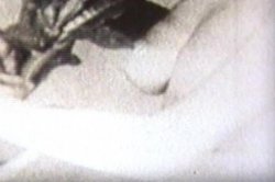 'Celebrity Sex' screenshot nº 71