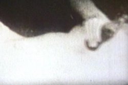 'Celebrity Sex' screenshot nº 76