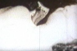 'Celebrity Sex' screenshot nº 77