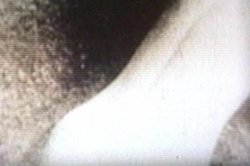 'Celebrity Sex' screenshot nº 81