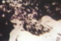 'Celebrity Sex' screenshot nº 87