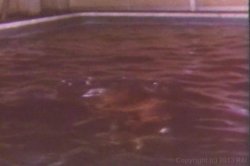 'Celebrity Sex' screenshot nº 118