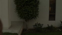 'Busen-Wunder 169' screenshot nº 52