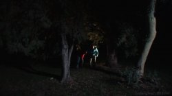 Captura de 'American Werewolf In London XXX Porn Parody' nº 29