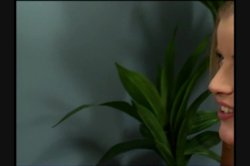 'Nappy Headed Ho's' screenshot nº 119