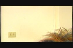 Captura de 'Ron Jeremy: The Lost Footage' nº 109