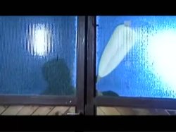 'Marta - Tresors Intimes (Marta - Intimate Treasures)' screenshot nº 110