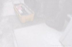 Captura de 'I Wanna Cum Inside Your Mom 2' nº 38