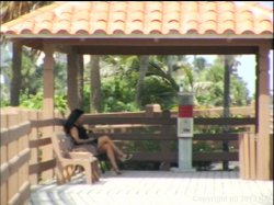 'MILF School' screenshot nº 48